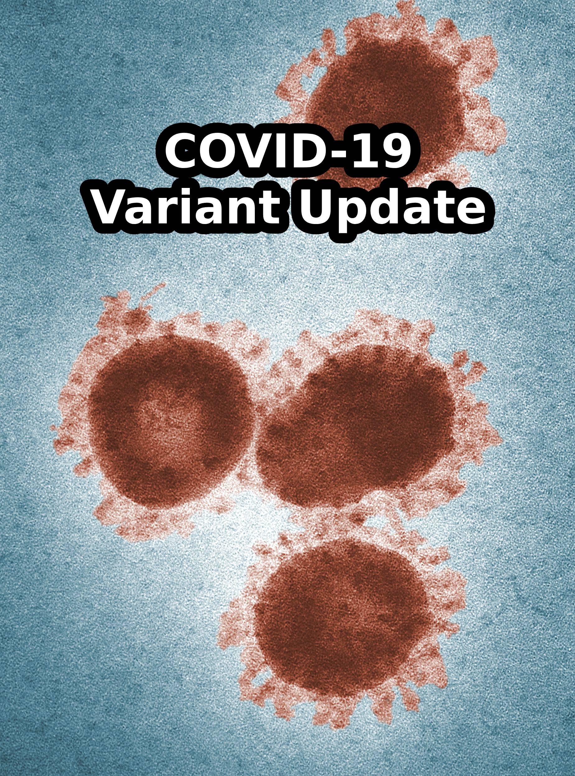 COVID-19 variant update NY august 2023