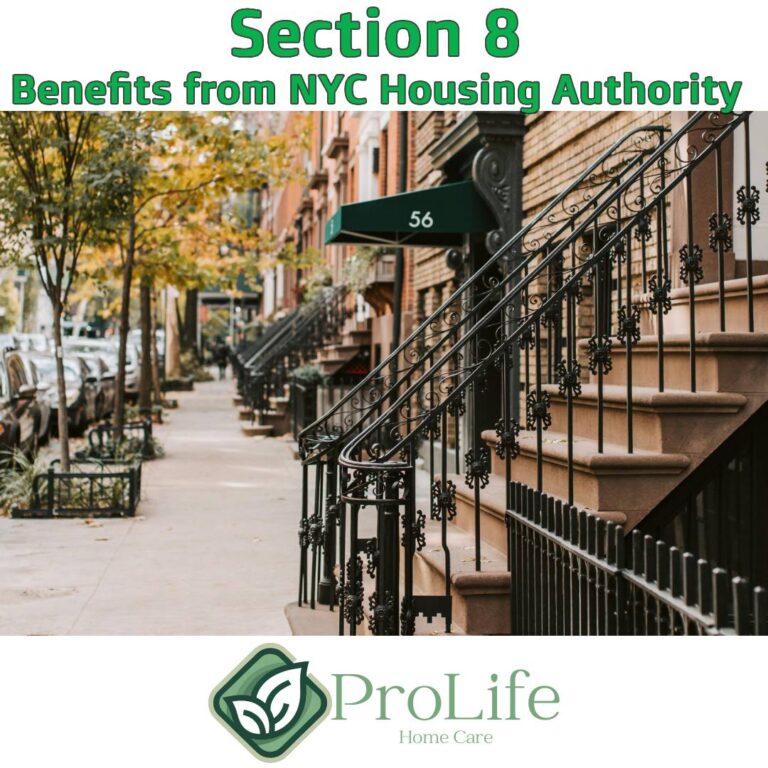Section 8