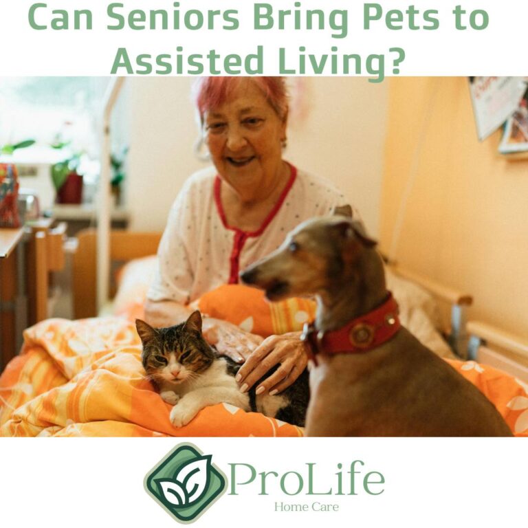 Can Seniors Bring Pets to Assisted Living? A Complete Guide