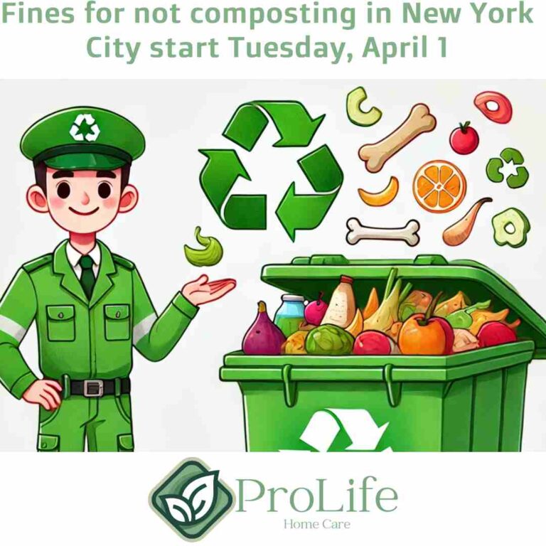 Heavy Fines Begin Tuesday for Not Composting in New York City: What You Need to Know