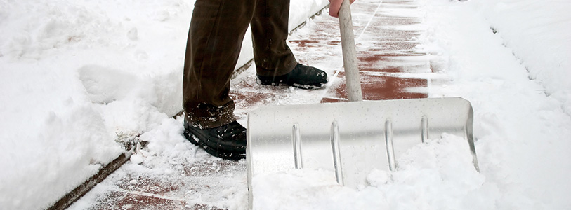 Seasonal Safety (Heatwaves & Winter Prep) for NYC Seniors summer guide