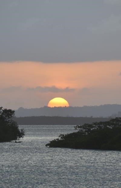 Home Safety Brooklyn: RN Clinical Audits for Senior Living