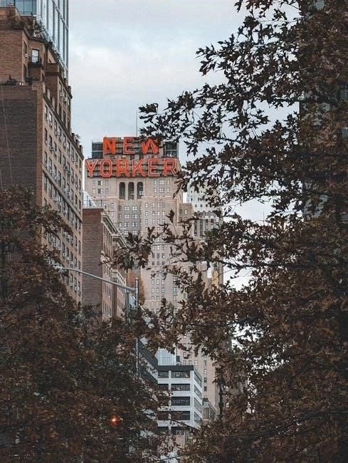 Proving Mental Capacity: When is a Senior Too Ill to Sign a POA in NY?