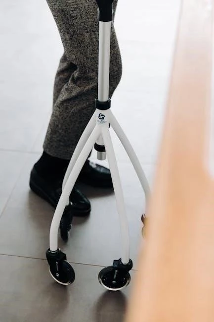 Maintaining Function: In-Home Occupational Therapy for Dementia