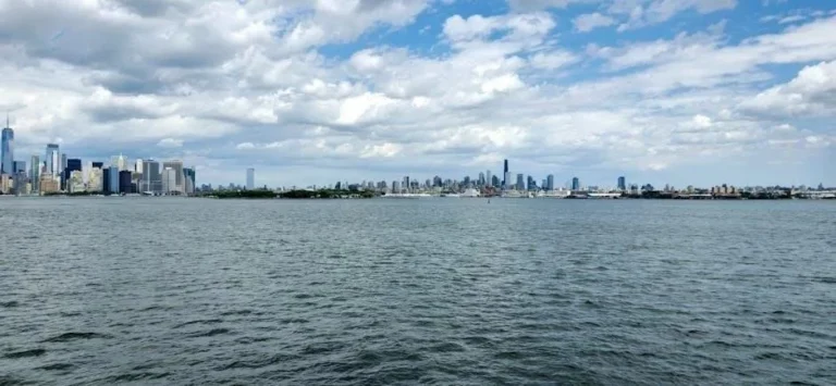 Future Planning: Pooled Trusts for Adults with Disabilities in NY
