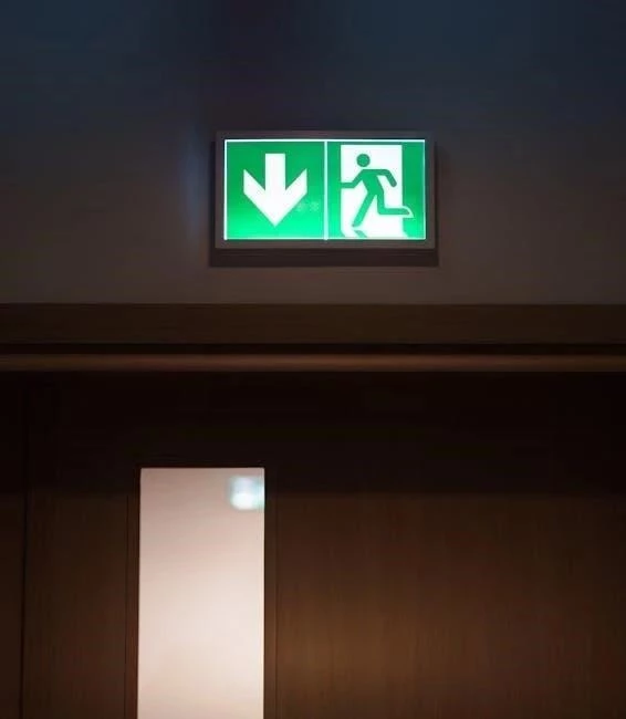 Safe Escapes: Setting Up Emergency Exits for NYC Seniors with Dementia