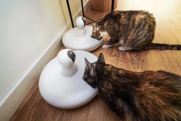 Interactive Floors: The Future of In-Home Safety for Frail Seniors