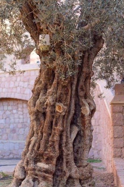 Astoria Healing: Navigating Home Care After Mount Sinai Queens