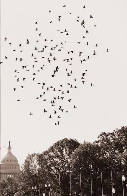 Washington Heights Recovery: Specialized Support for NYP Columbia Patients