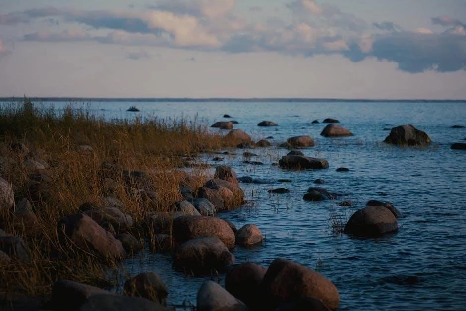 Bay Shore Continuity: Clinical Success After SSUH Hospitalization