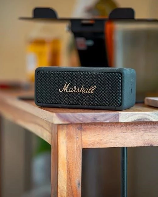 Manhattan Valour: Accessing VA Home Health Aides in NYC