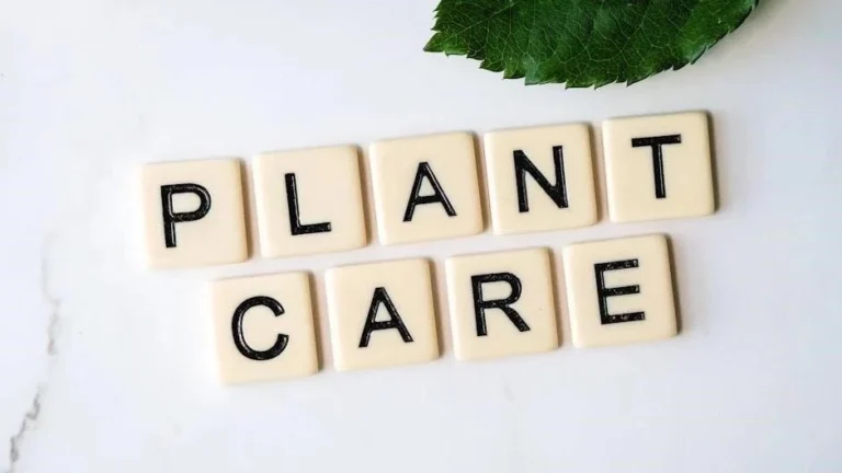 Clinical Comparison: Is Home Care Better Than Daycare?