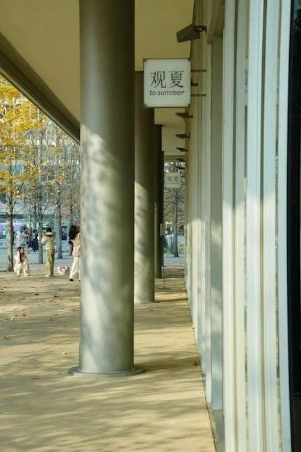 North Shore Excellence: Navigating Care for NYC Discharges