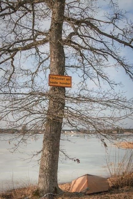 Hey Siri: integrating Voice Tech into NYC Home Care