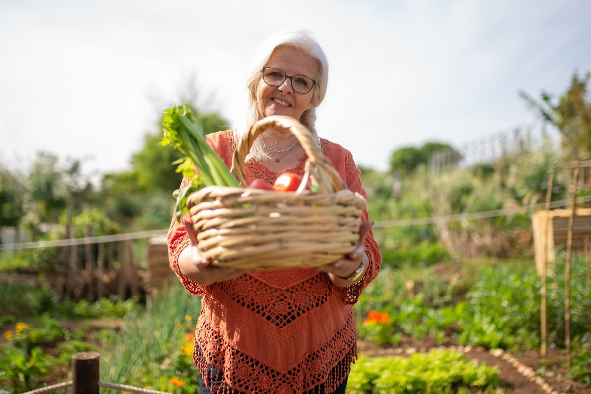 Smiling older woman holding a basket of fresh vegetables in a sunny community garden