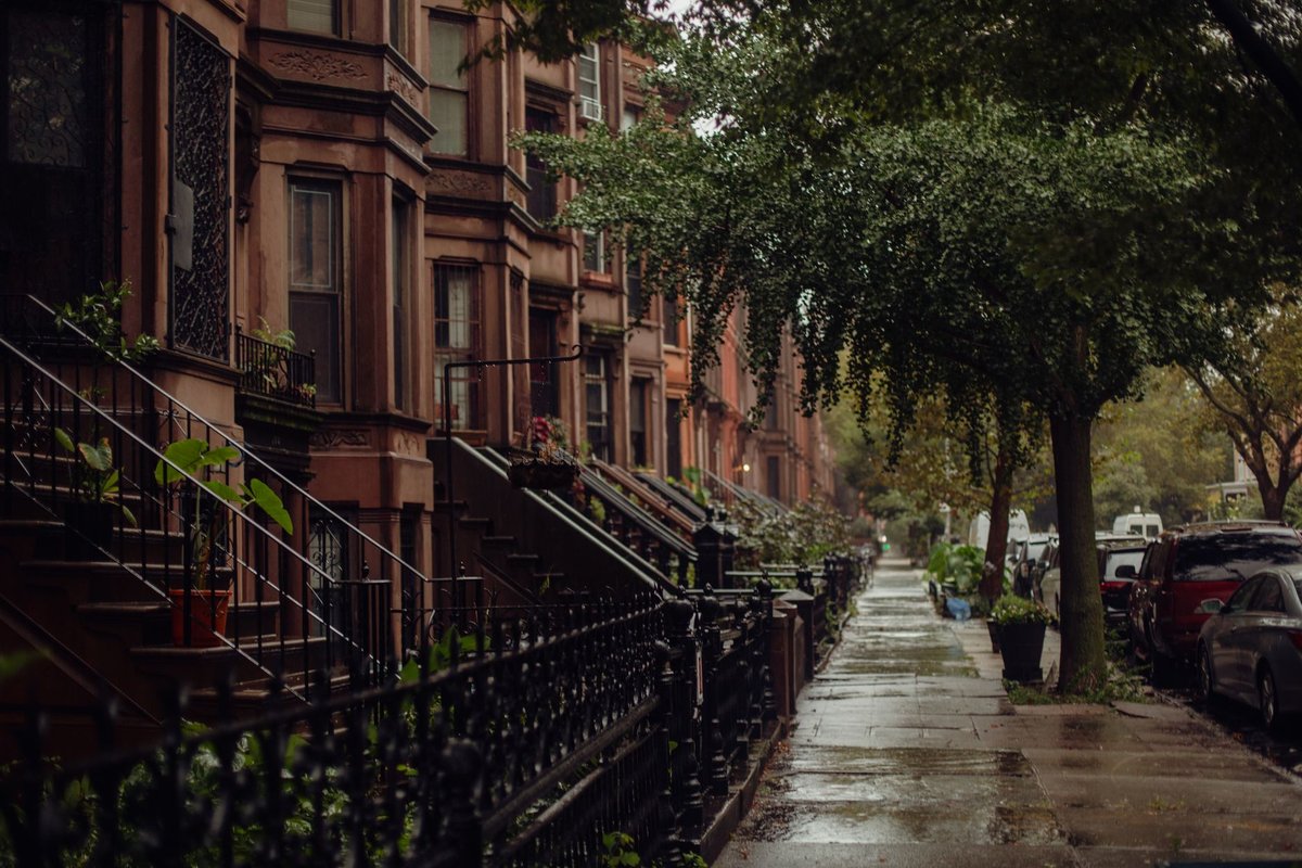 Row of brownstone houses with iron railings along a quiet tree-lined Brooklyn street