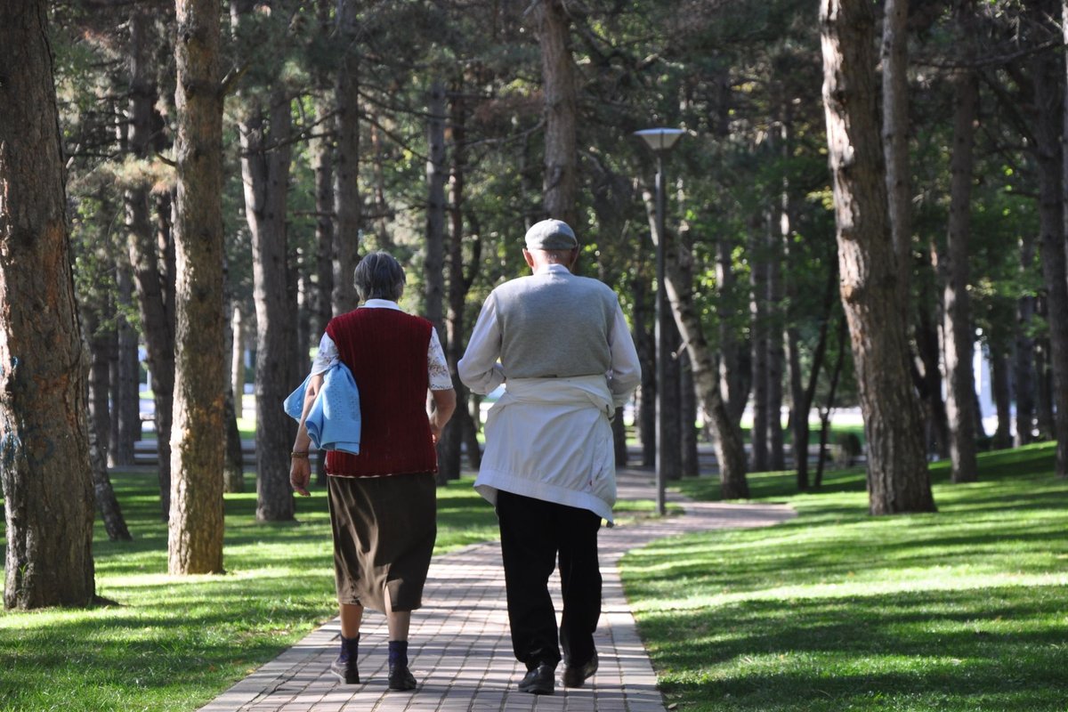Older couple walking together on a brick path through a sunny park